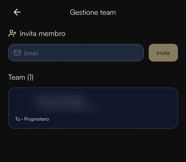 Gestione team: campo per invitare un collaboratore via email e elenco dei membri